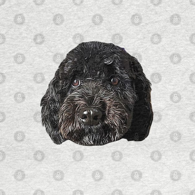 Cockapoo Cockerpoo Black Puppy Dog by ElegantCat